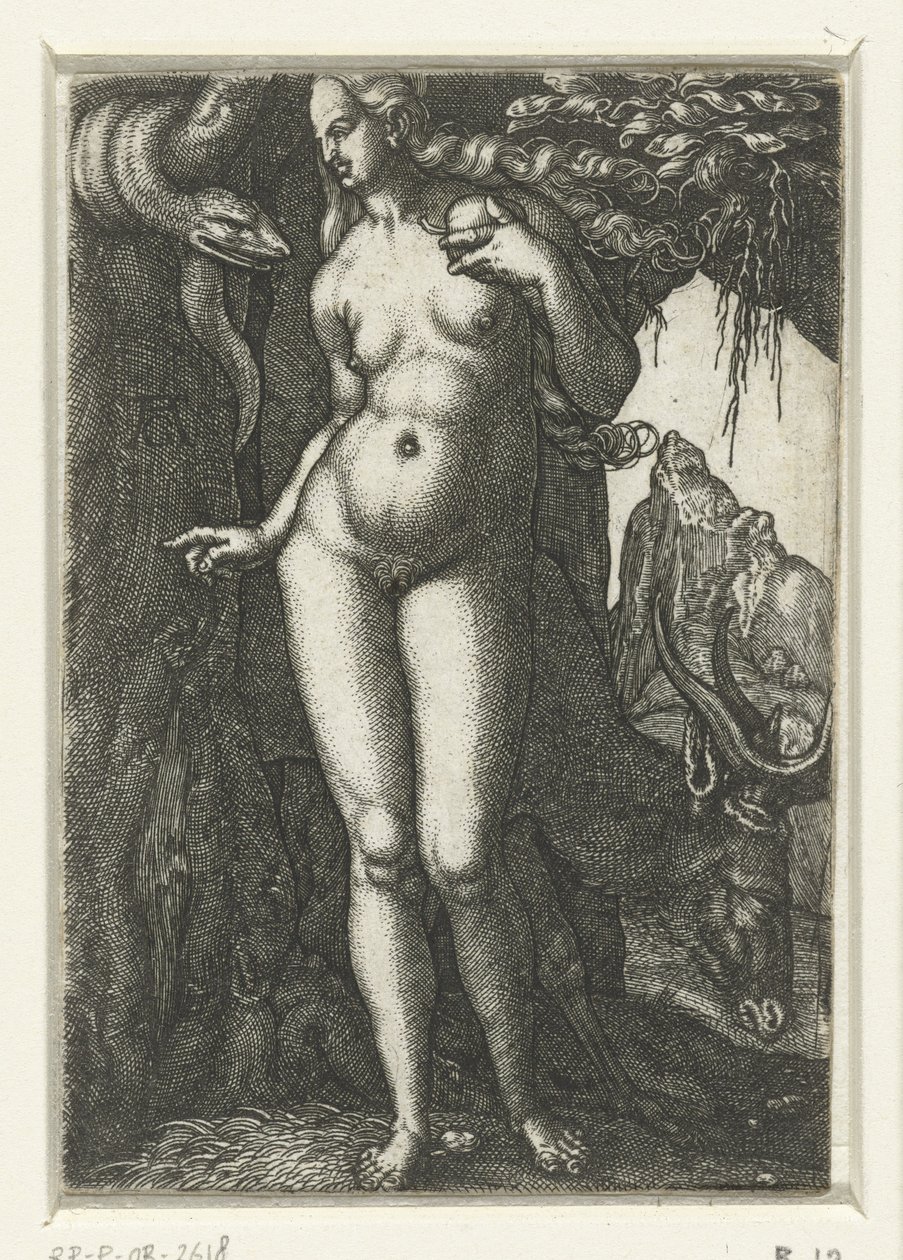 Eva by Albrecht Dürer