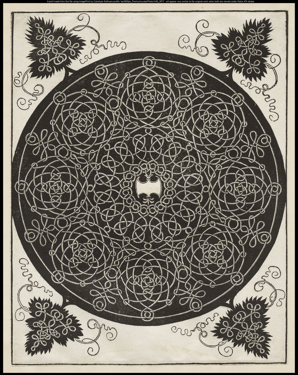 Fifth Knot, with a White Shield with Six Points in the Centre by Albrecht Dürer
