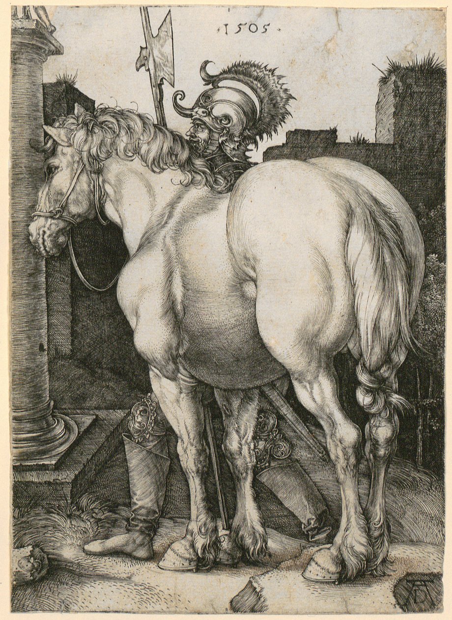 Large Horse by Albrecht Dürer