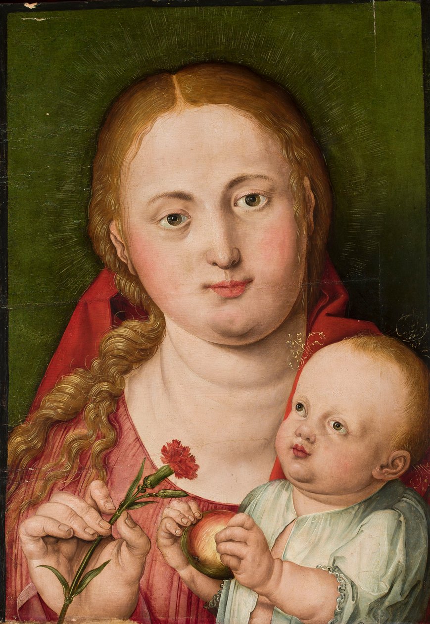 Madonna with Child and Carnation by Albrecht Dürer