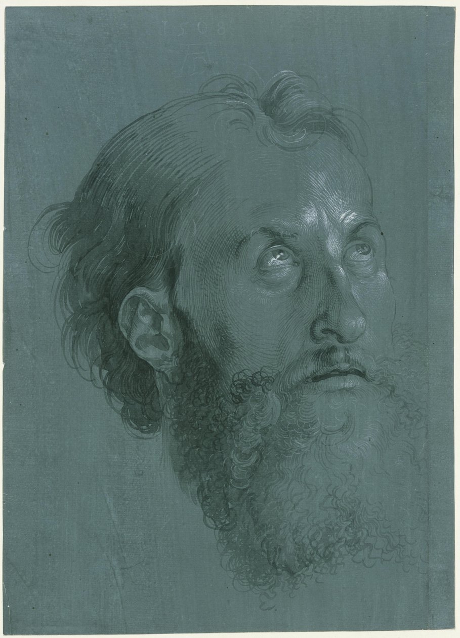 Head of an Apostle Turned to the Right by Albrecht Dürer