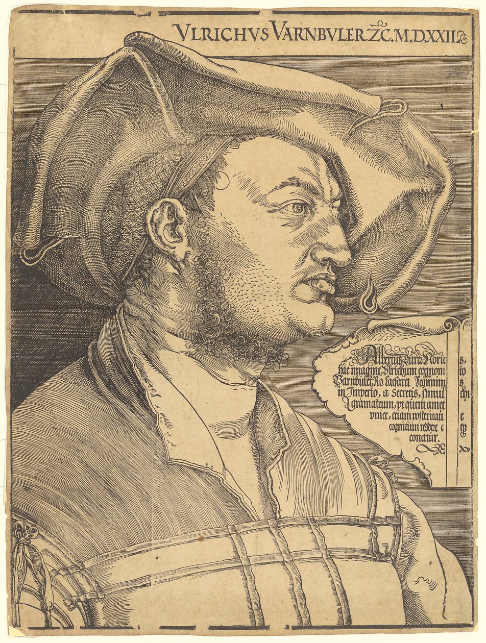 Portrait of Ulrich Varnbüler by Albrecht Dürer