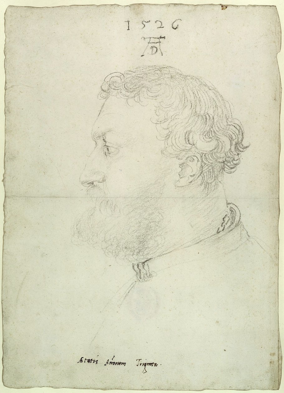 Profile Portrait of Raimund Fugger by Albrecht Dürer