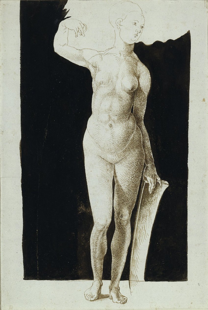 Proportion study of female nude with a shield, 1500 by Albrecht Dürer