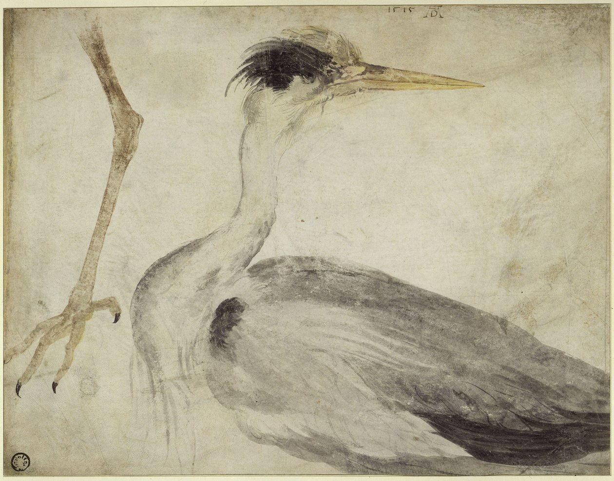 Heron by Albrecht Dürer
