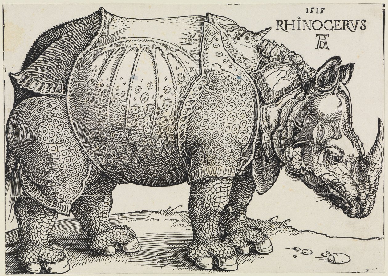 Rhinocerus (The Rhinoceros) by Albrecht Dürer