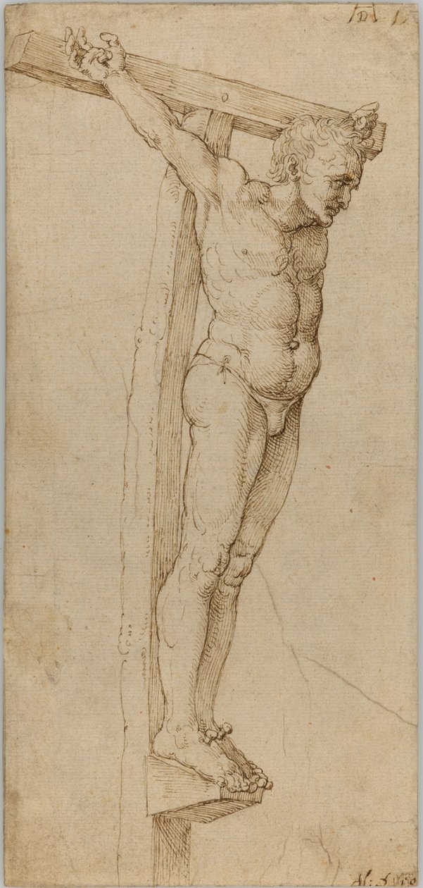 Study of the Good Thief by Albrecht Dürer