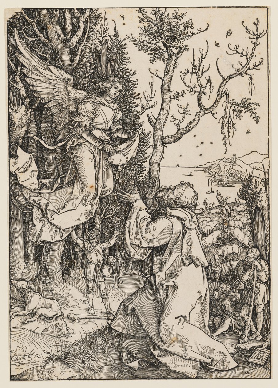 The Angel Appearing to Joachim by Albrecht Dürer
