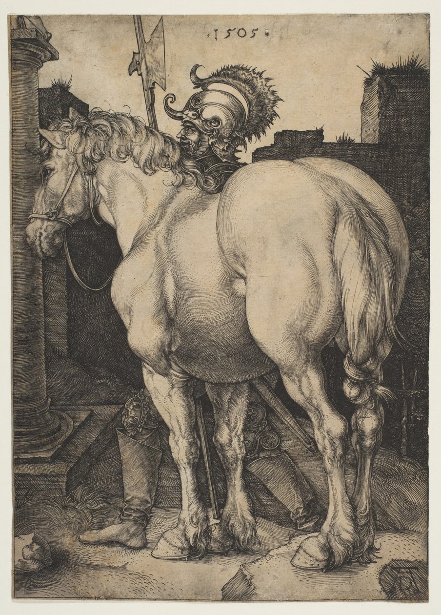 The Great Horse by Albrecht Dürer