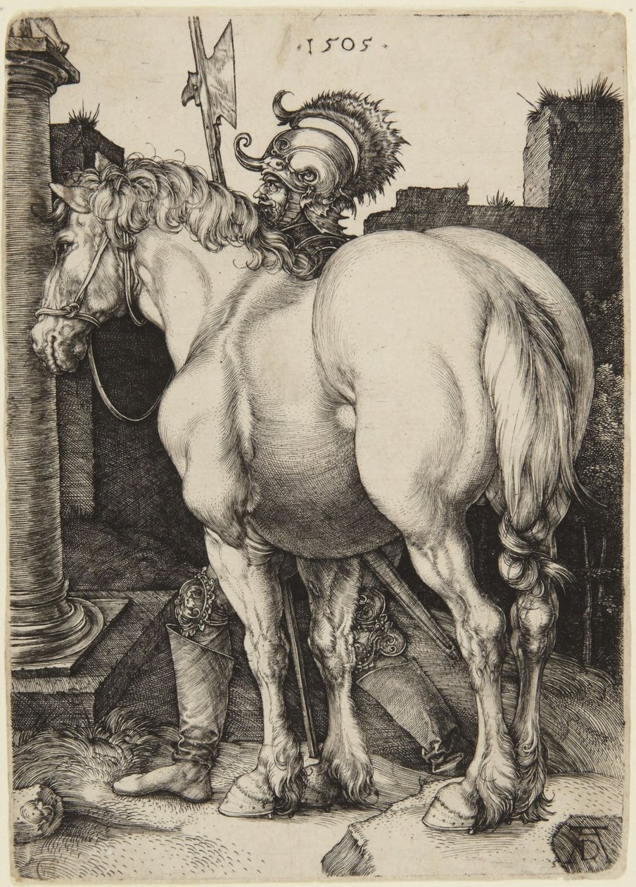 The Great Horse by Albrecht Dürer