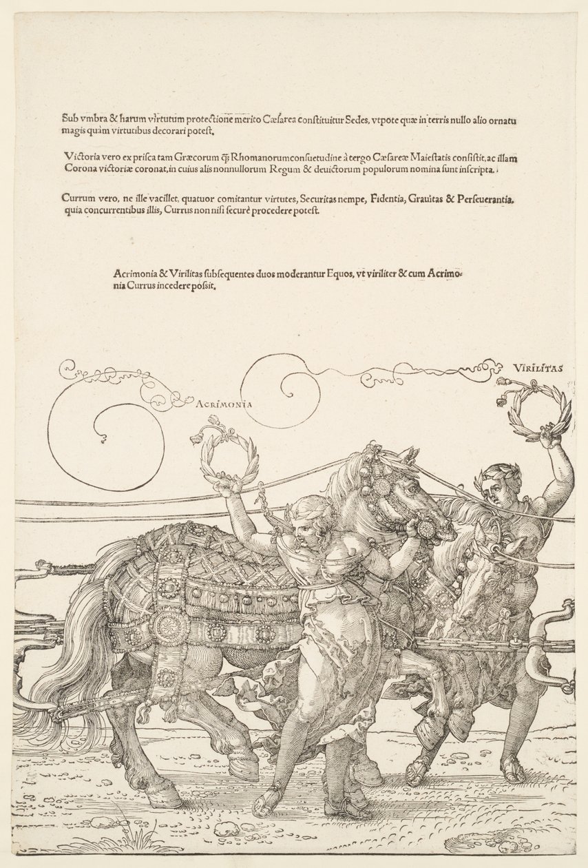 The Great Triumphal Chariot: Acrimony and Virility by Albrecht Dürer