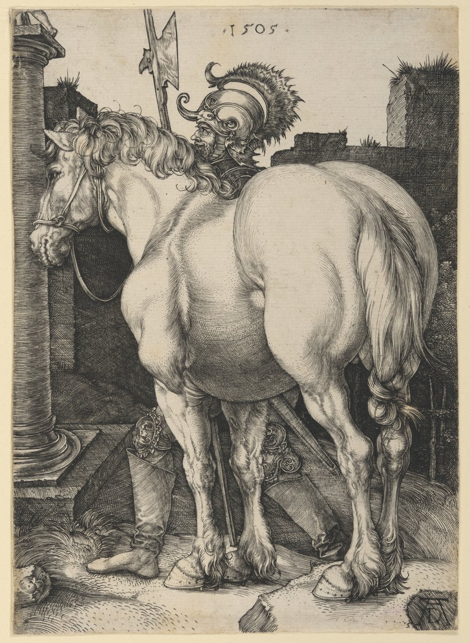The Large Horse by Albrecht Dürer