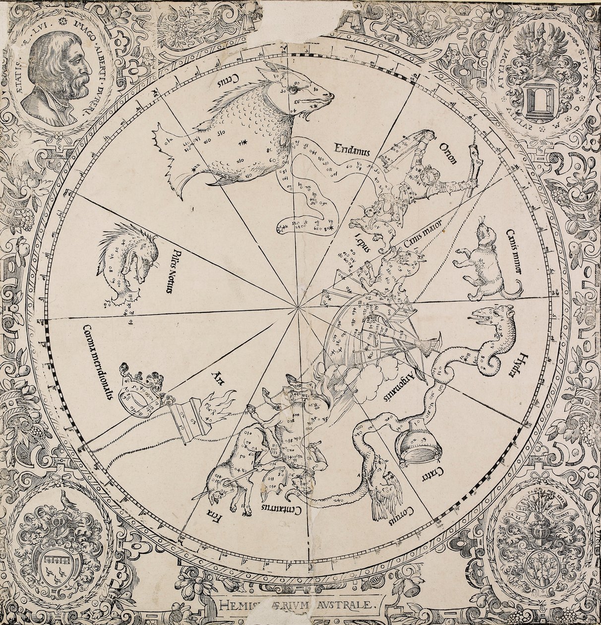 The Celestial Chart of the Southern Hemisphere by Albrecht Dürer