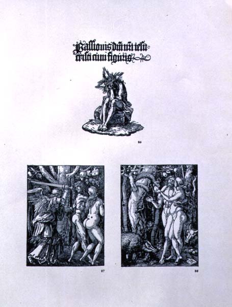 Three pages from the Small Passion series: (top) titlepage with Christ as the Man of Sorrows and a Latin inscription; (left) The Expulsion from Paradise; (right) Adam and Eve, pub. 1511 by Albrecht Dürer