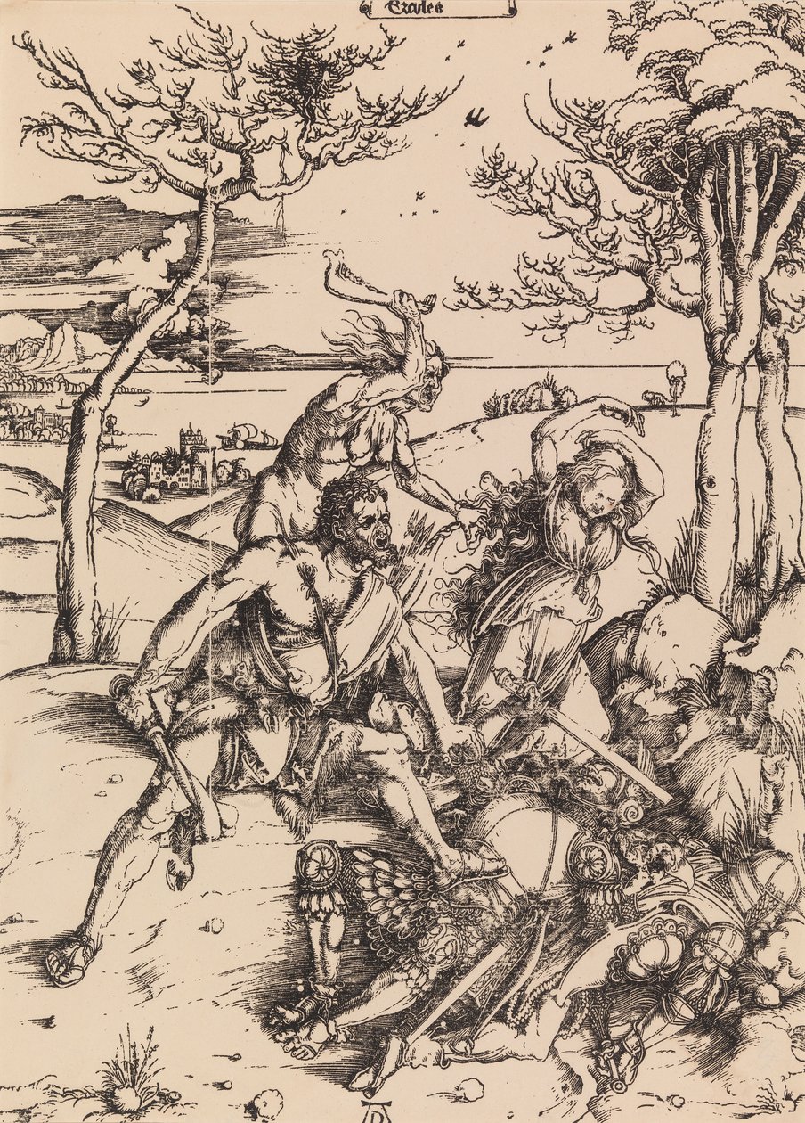 Untitled by Albrecht Dürer