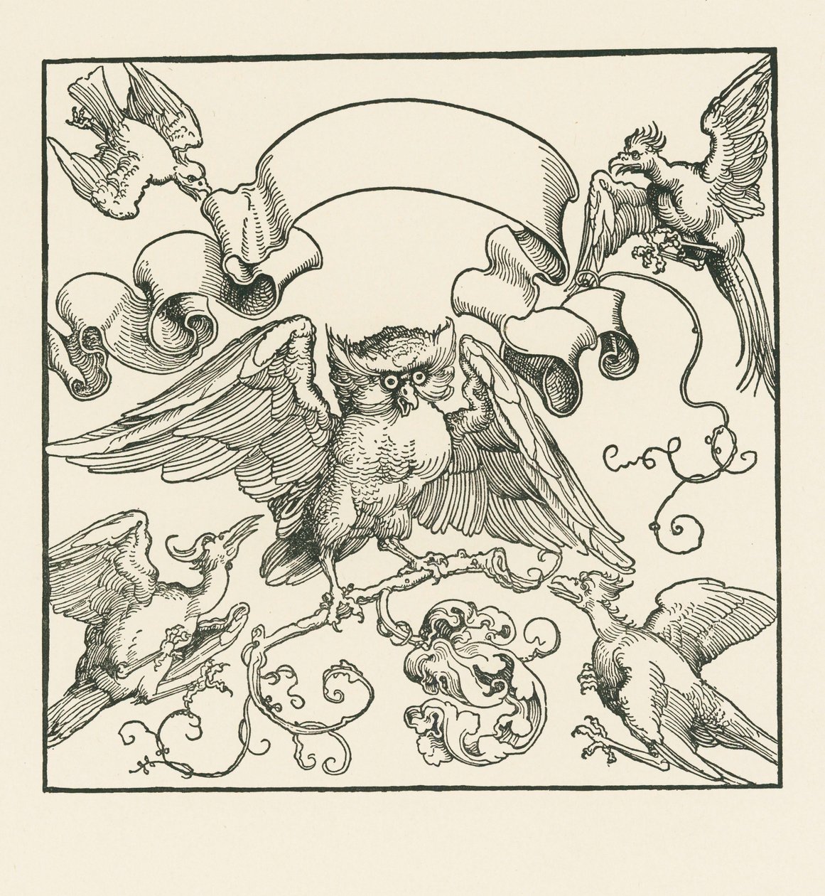 An Owl Attacked by Four Other Birds by Albrecht Dürer or Duerer