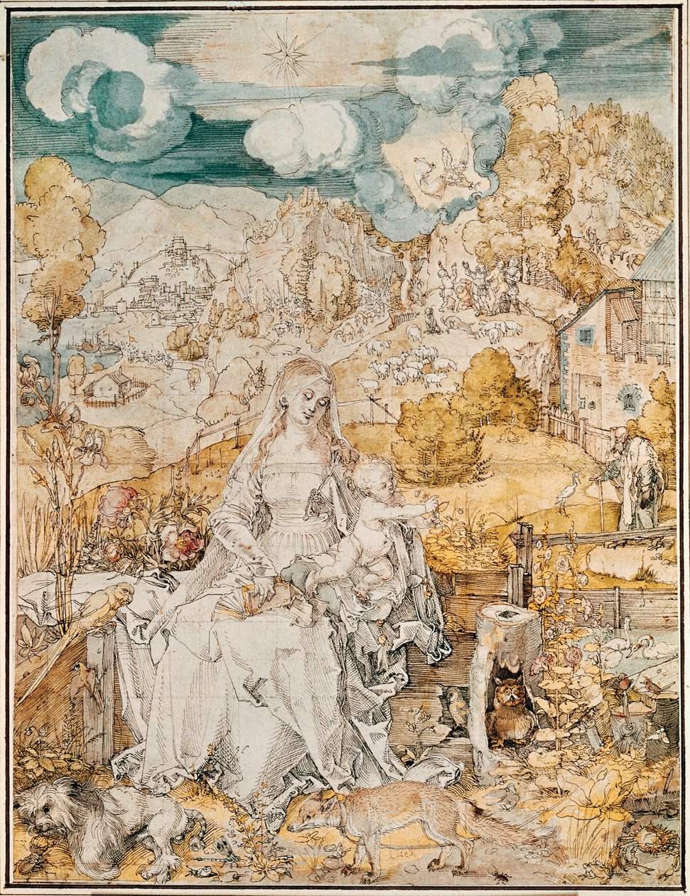Madonna with a Multitude of Animals by Albrecht Dürer or Duerer