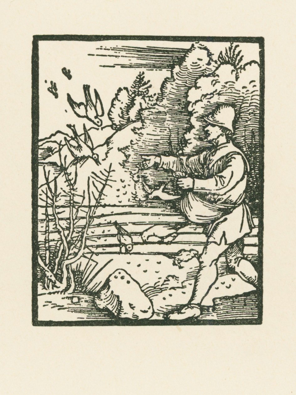 The Parable of the Sower by Albrecht Dürer or Duerer