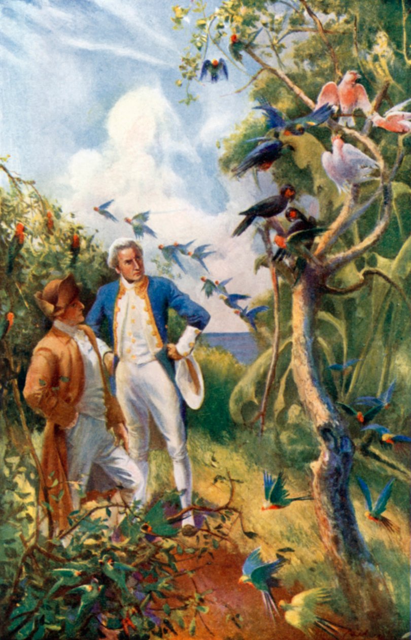 Captain Cook at Botany Bay by Alec Ball