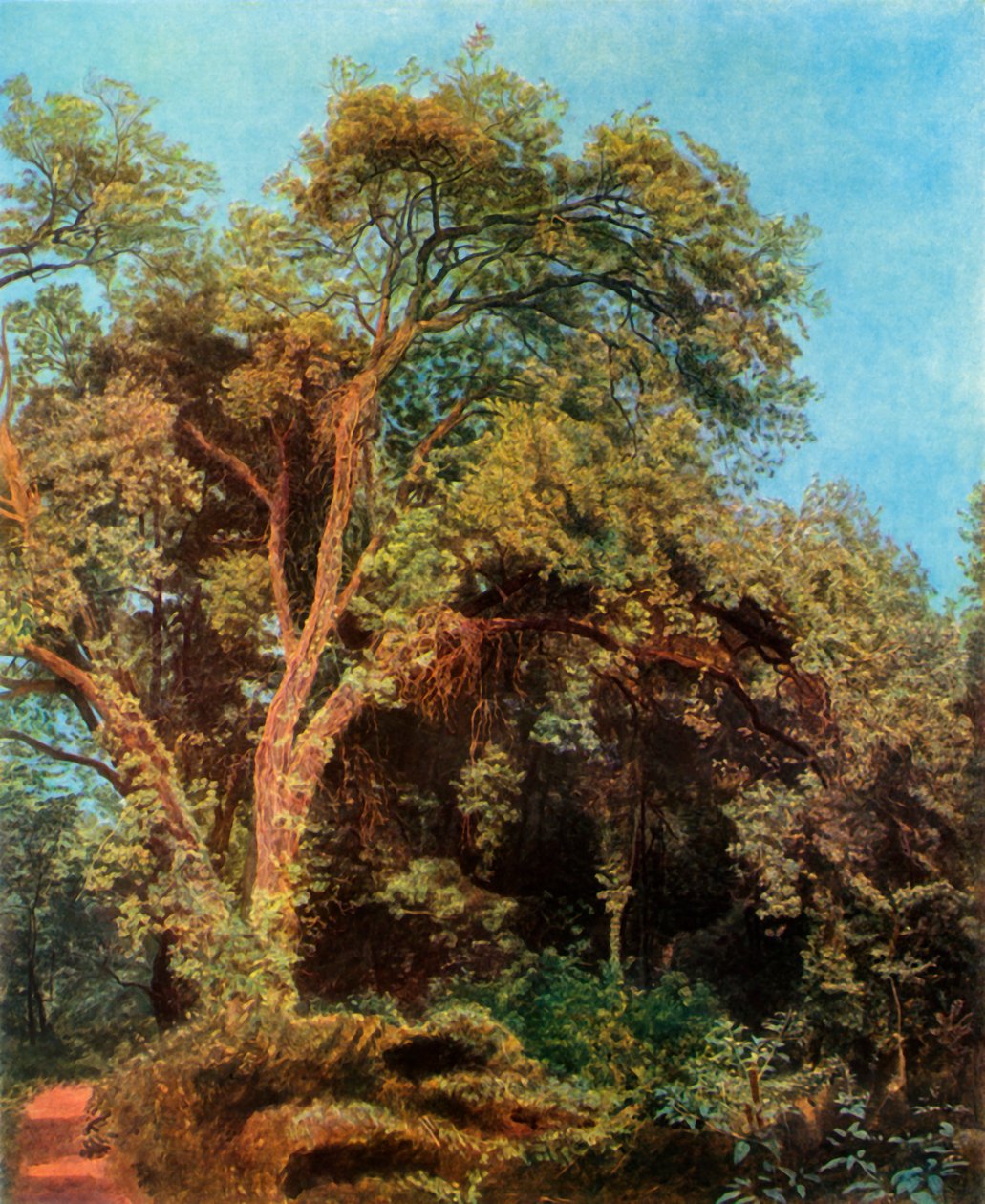 Tree in the Park by Aleksandr Ivanov