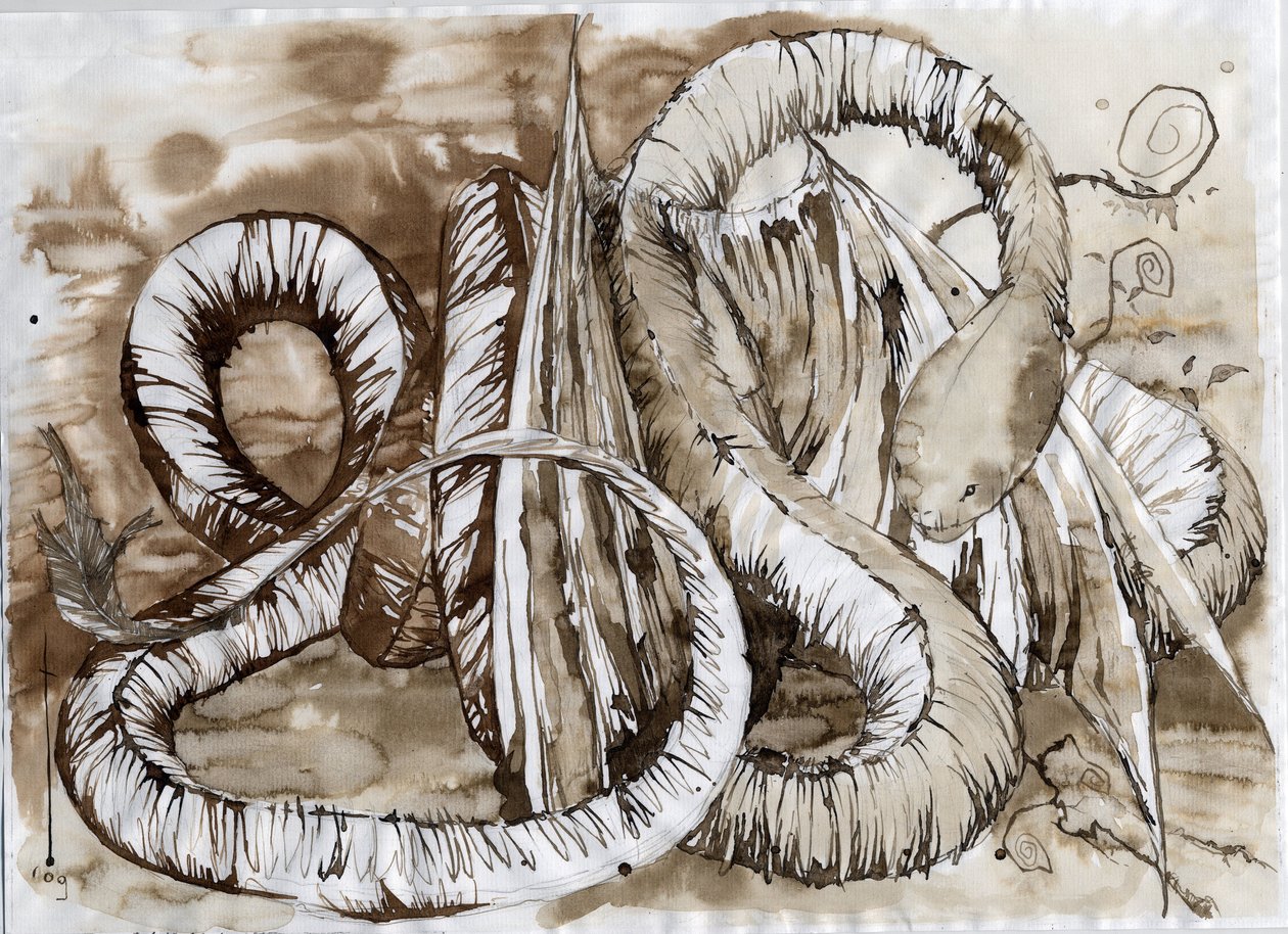 Illustration of a fantastic and legendary animal: dragon with a snake-long body by Alessandro Lonati