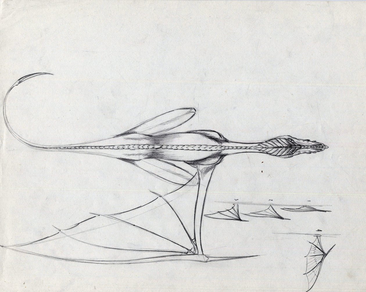 Legendary animal for fantasy illustration: study for a dragon by Alessandro Lonati