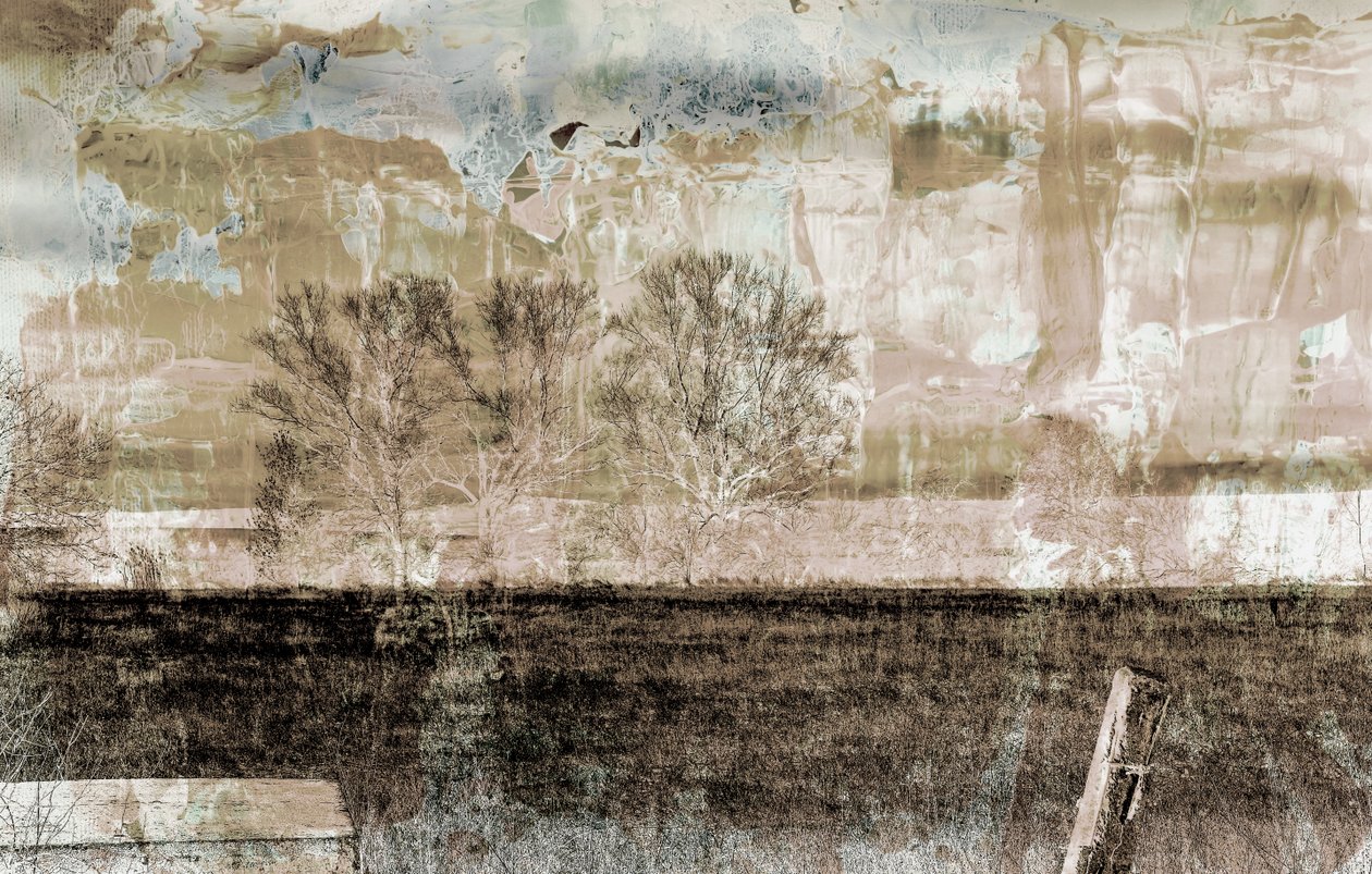 Brown fog, 2019 by Alex Caminker