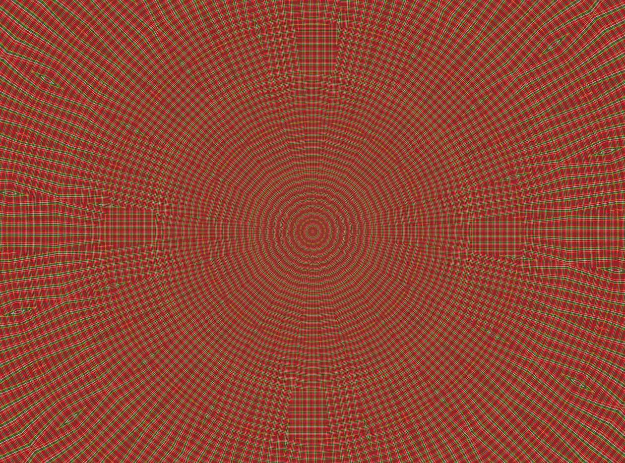Ornament #2, 2019 by Alex Caminker