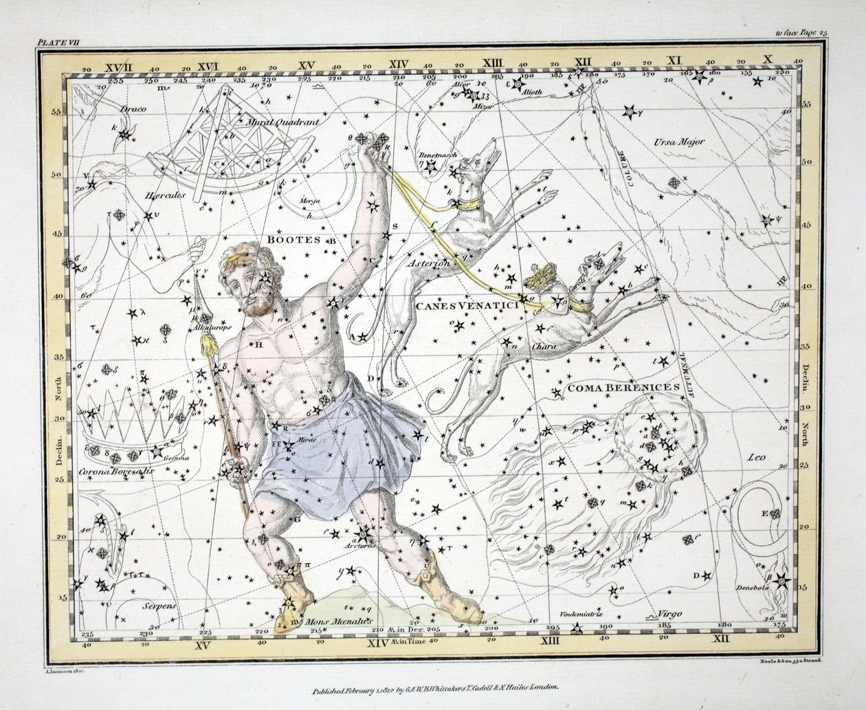 The Constellations (Plate VII) Bootes and Mons Maenalus, Asterion and Chara or Canes Venatici, Coma Berenices, from 