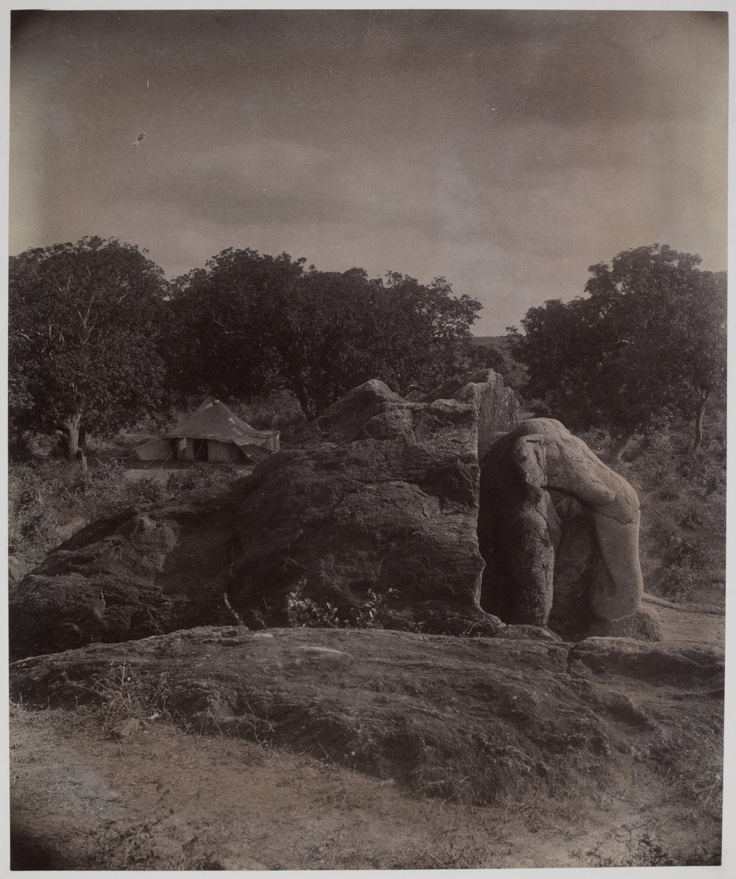 Sculptured elephant on top of rock with Asoka inscriptions, Dhauli, Puri District by Alexander Caddy