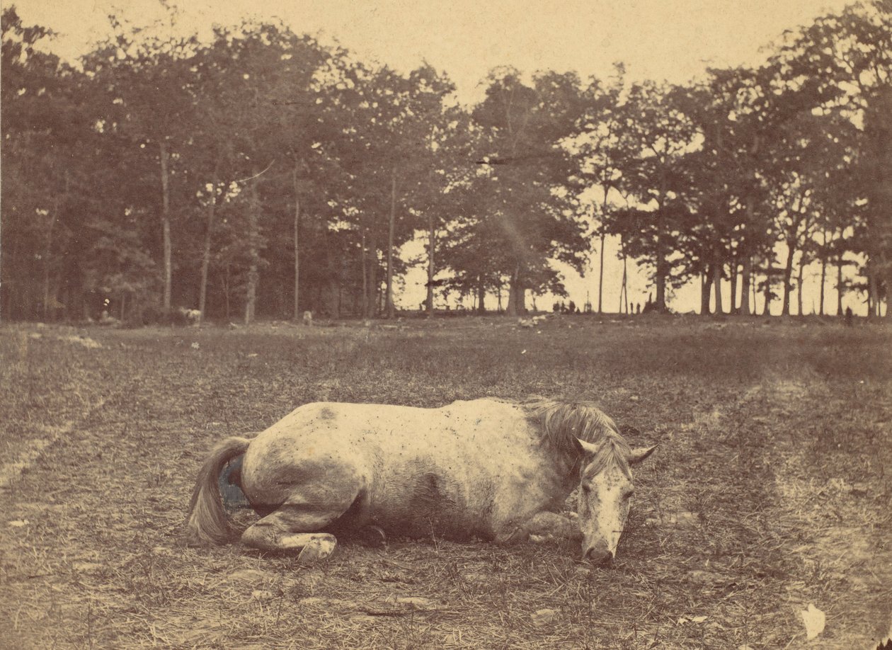 Is This Death - Antietam Battlefield, September 1862 by Alexander Gardner