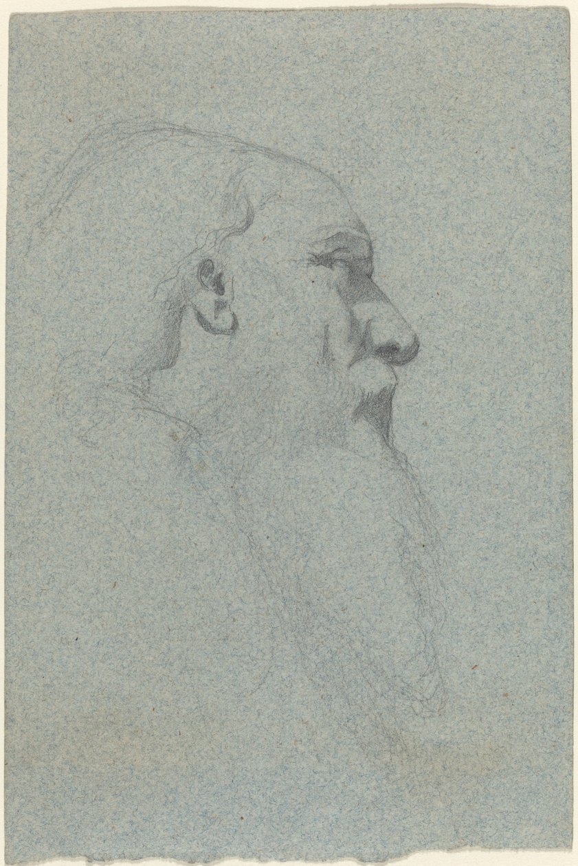 Head of a Bearded Man, Looking Right by Alexandre Bida
