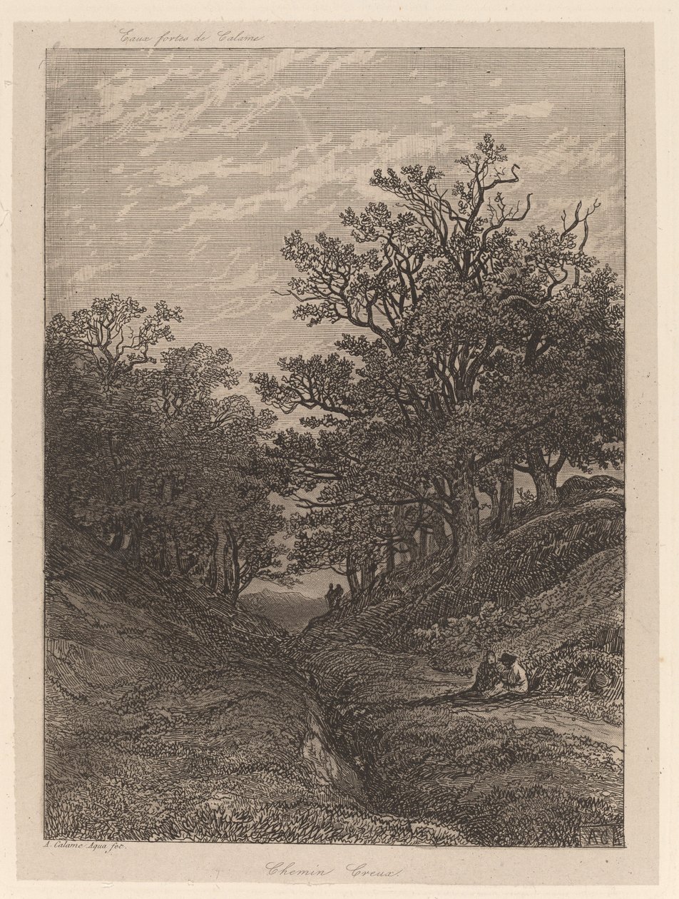Hollow Path by Alexandre Calame