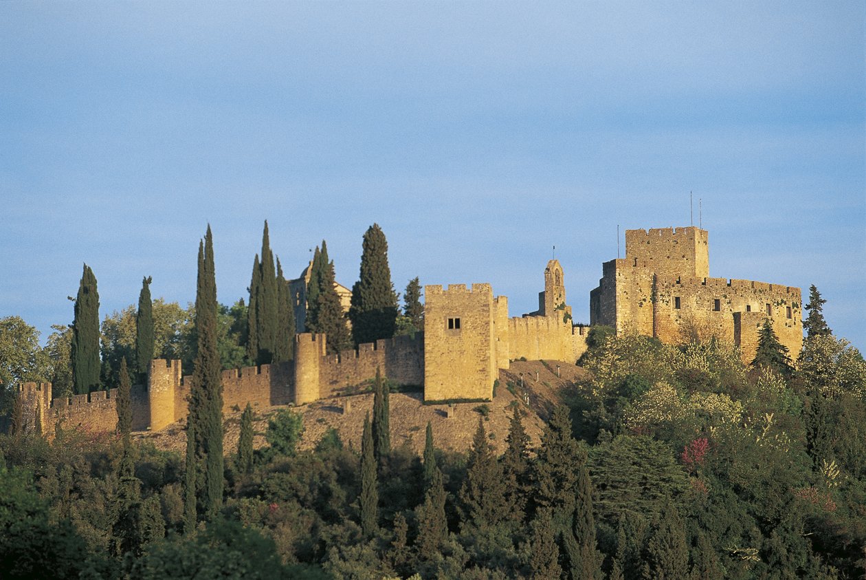 Convent of Christ, UNESCO World Heritage List by Nicolas Toussaint Charlet