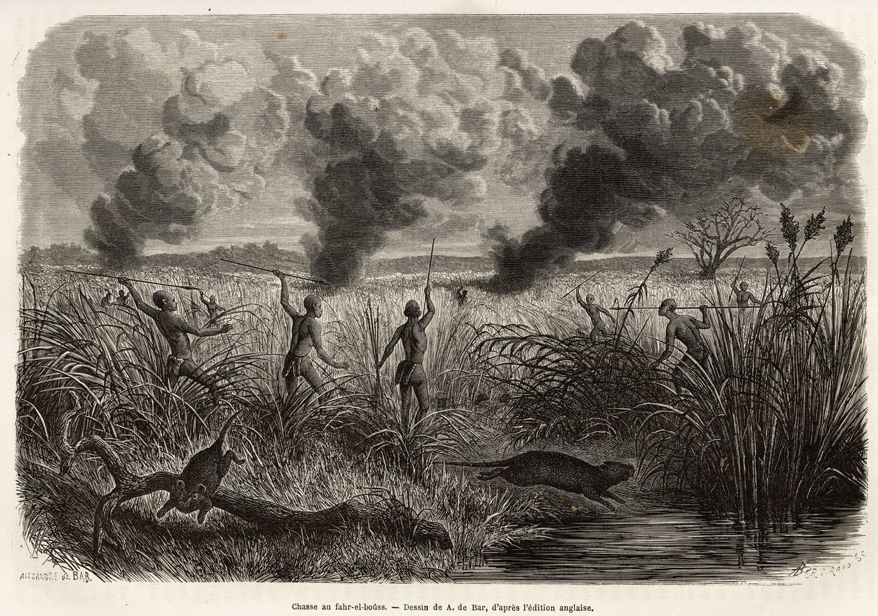 The bongo tribe hunt the rat from the reeds (for naturalists: aulacode), sitot spot the place where the rodents live, fire is set to dry grass around their cottage, until the beets, forced to flee, come to present themselves to the hunters, engraving after by Alexandre de (after) Bar