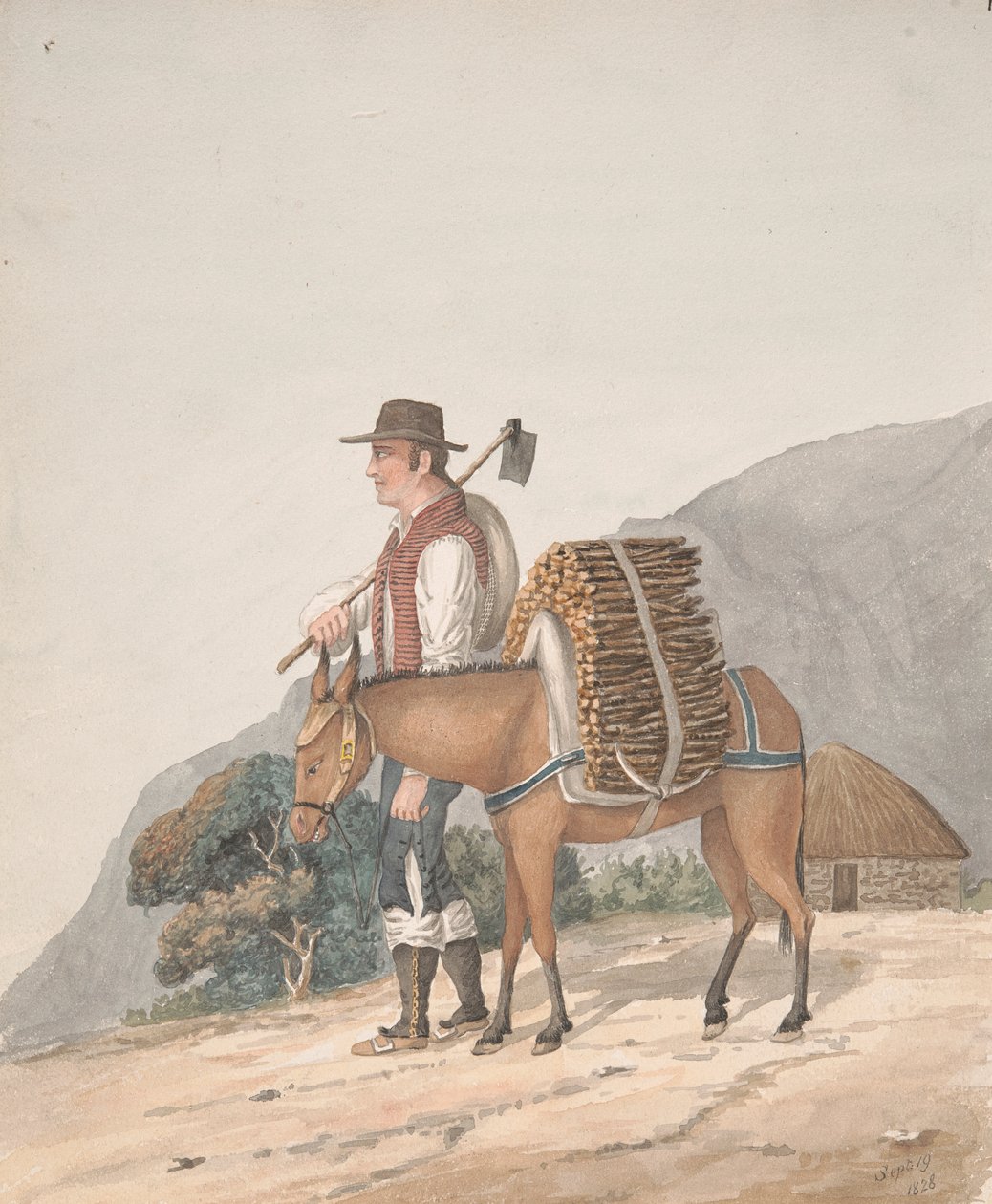 Firewood Seller, Tenerife by Alfred Diston: Fine art print