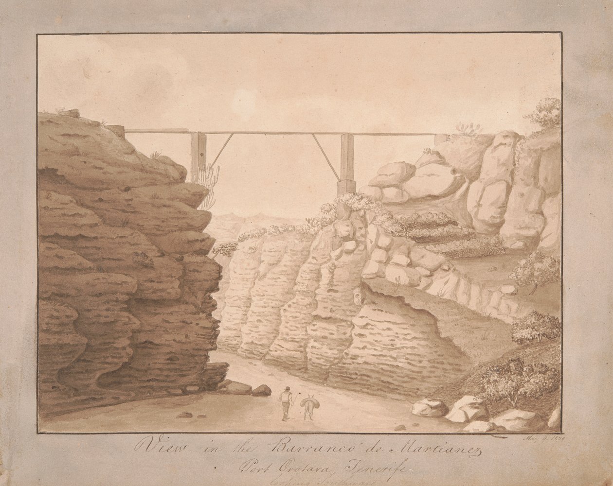 View in the Barranco de Martianez, Port Orotava, Tenerife, Looking Southward by Alfred Diston