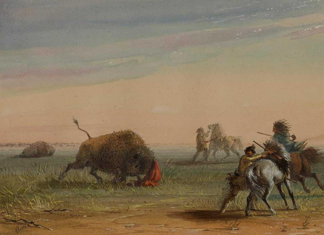 Buffalo Turning on His Pursuers by Alfred Jacob Miller