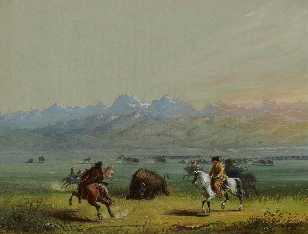 Wounded Buffalo by Alfred Jacob Miller