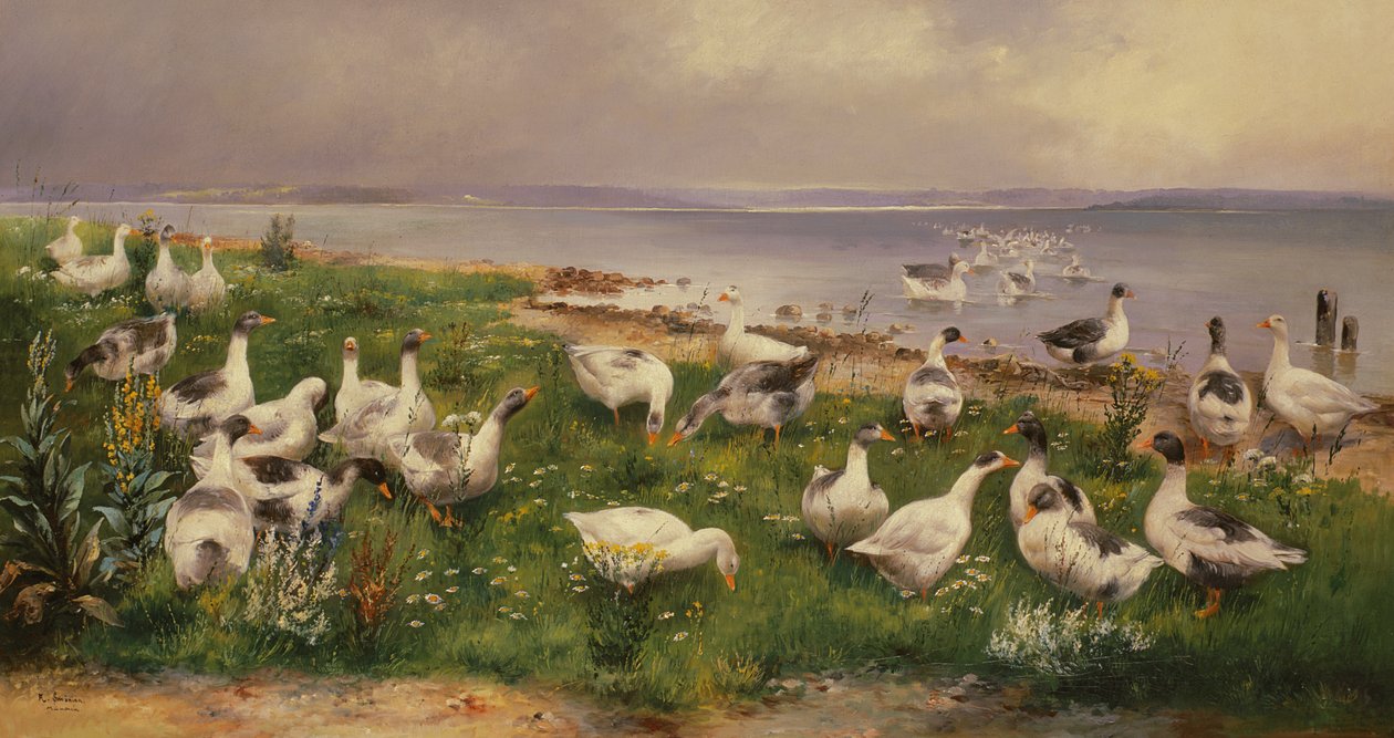 Geese by Alfred Schonian
