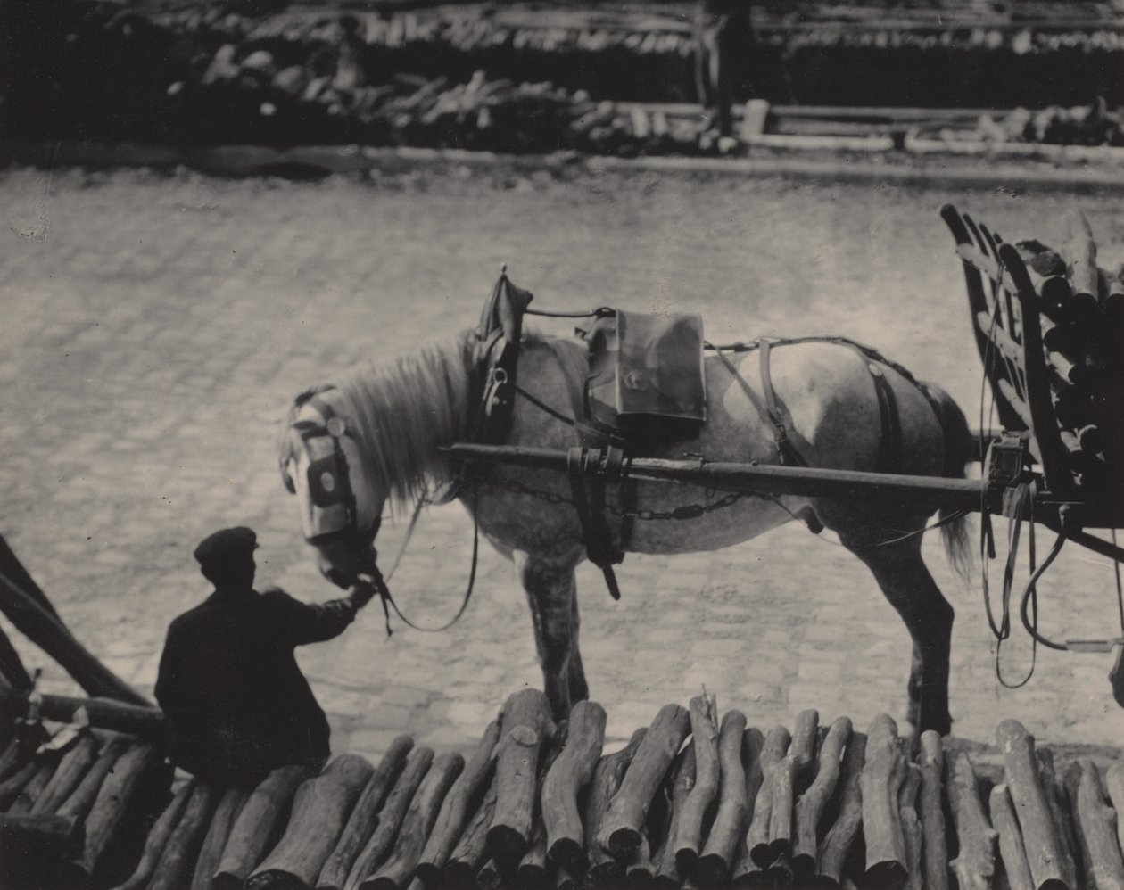 A Snapshot, Paris by Alfred Stieglitz