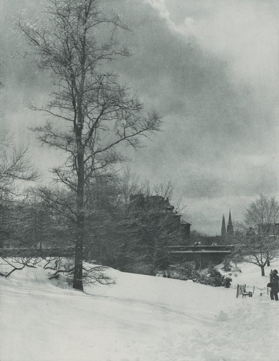 A Winter Sky—Central Park by Alfred Stieglitz