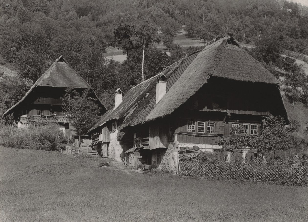 Black Forest House by Alfred Stieglitz