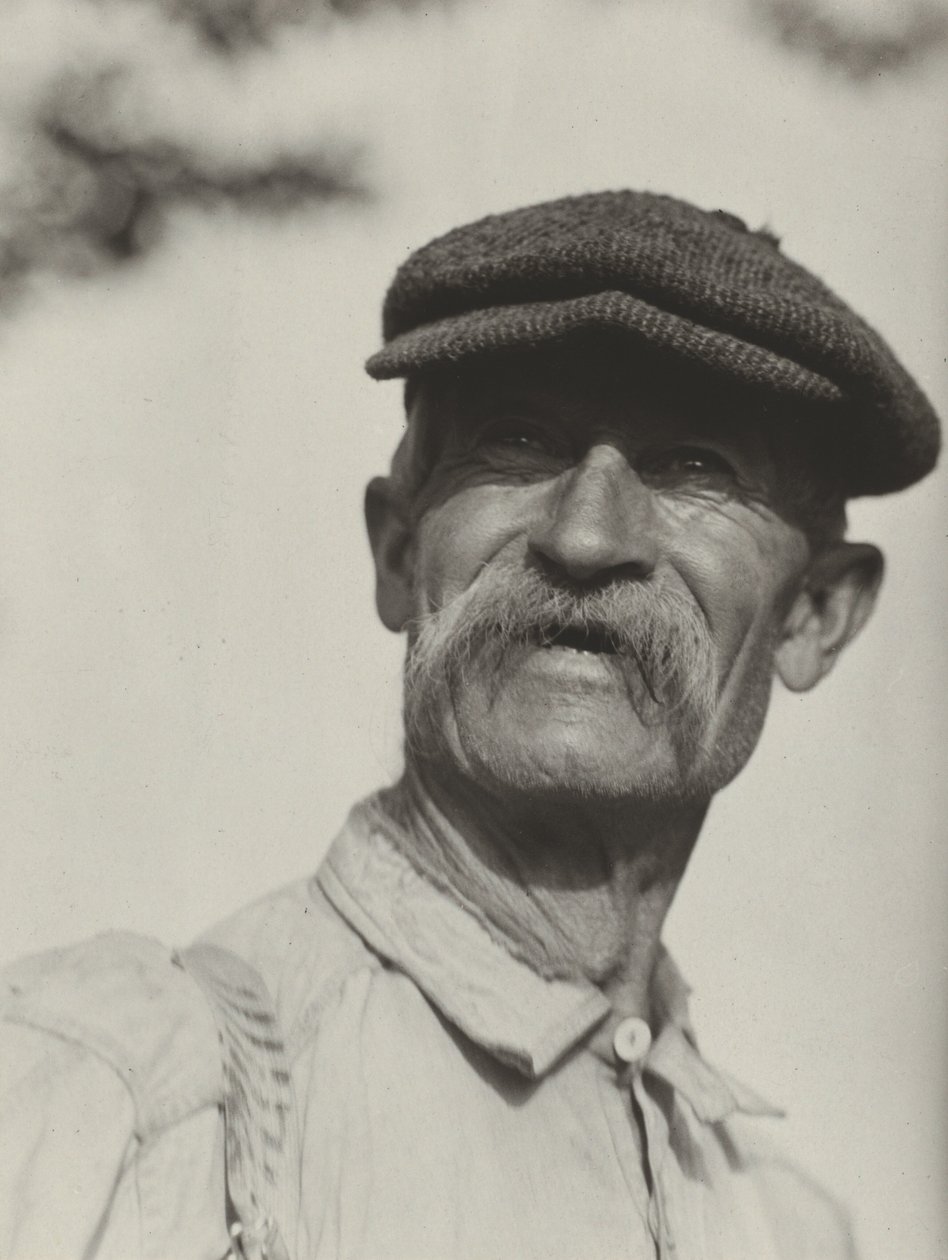 Bly by Alfred Stieglitz