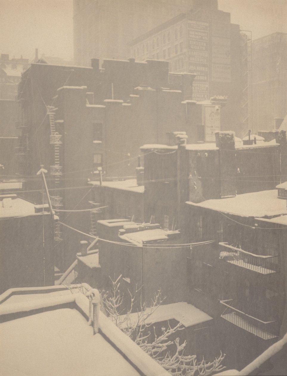 From the Back-Window - 291 by Alfred Stieglitz