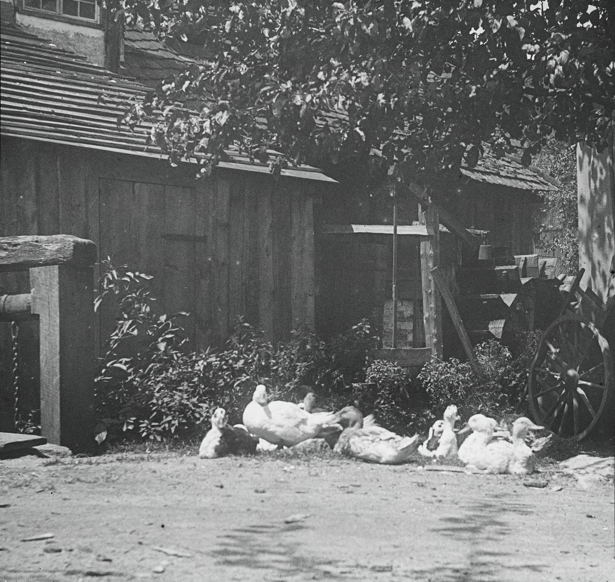 Gutach, 1894 by Alfred Stieglitz