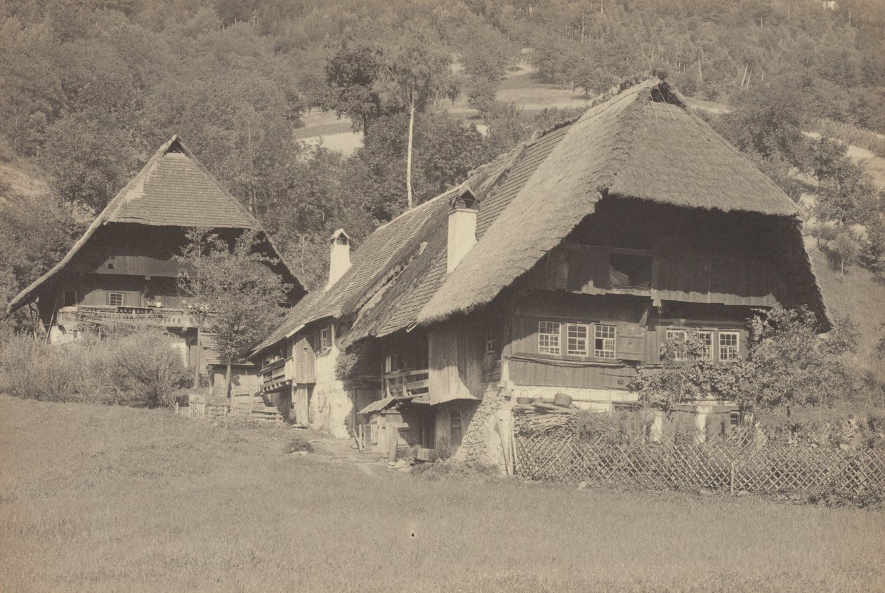 Gutach Houses by Alfred Stieglitz