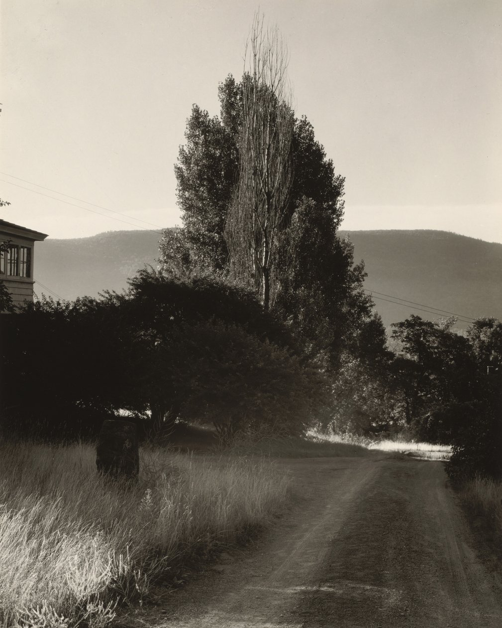 House and Poplars, Lake George by Alfred Stieglitz