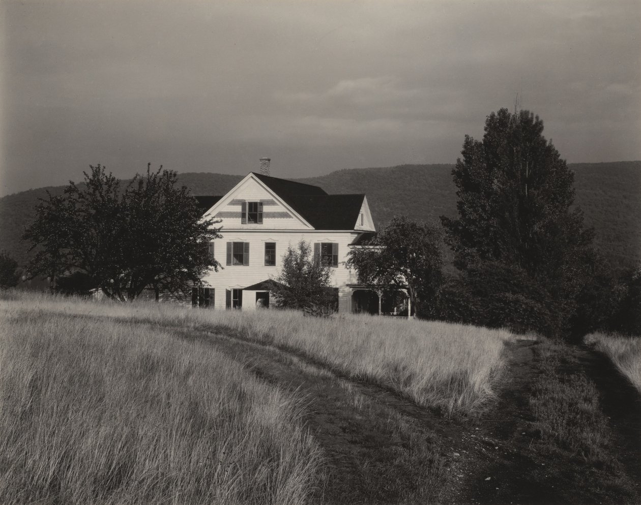 House and Trees, Lake George by Alfred Stieglitz