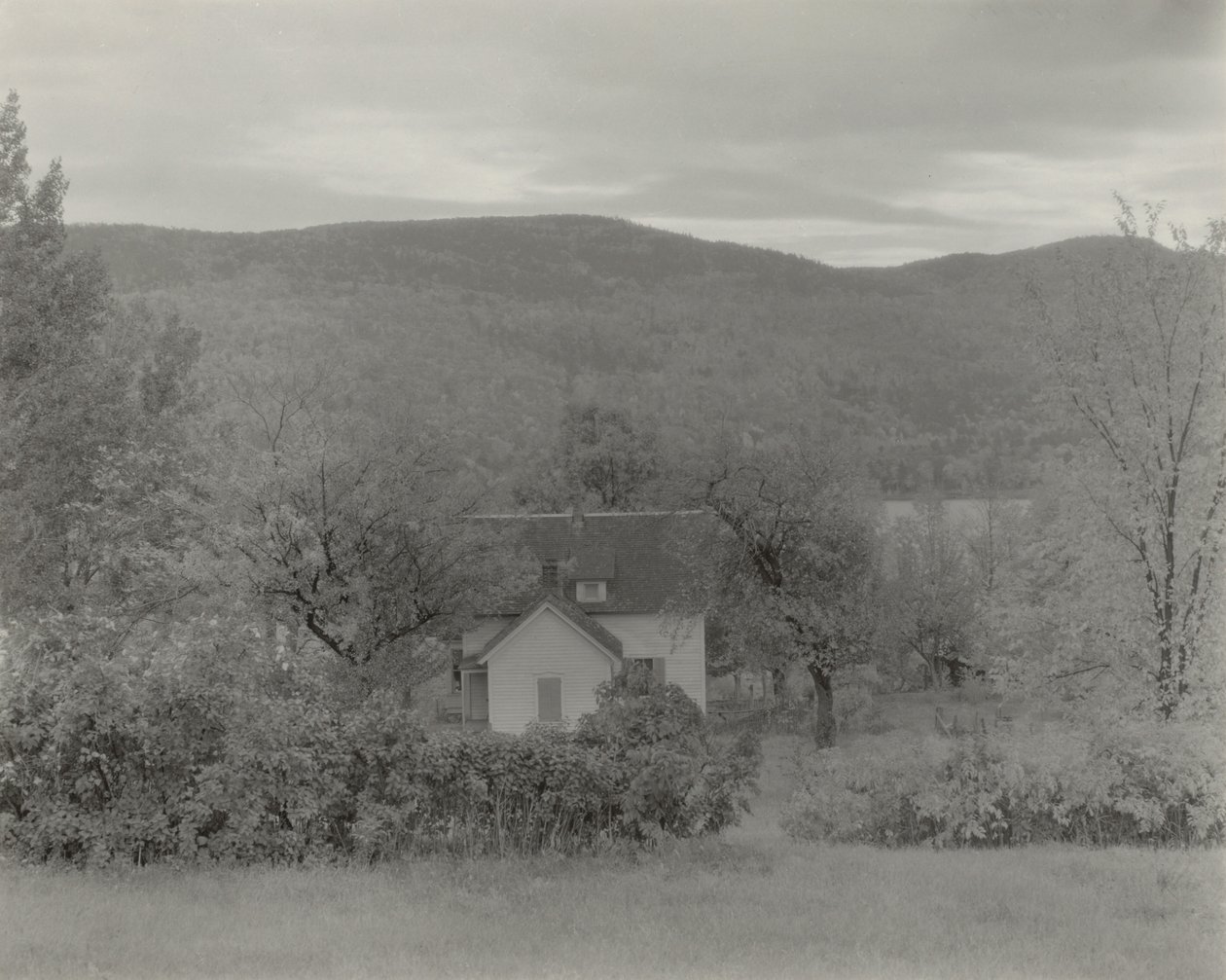 Lake George by Alfred Stieglitz